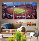 Dooley Stadium Wall Art, Sports Arena Canvas Print, Dooley by MyGreatCanvas | Canvas Wall Art Prints | Photo Prints & Wall Decor