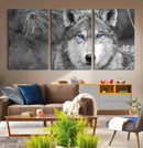 Wild Wolf Blue Eye Wall Art Canvas Print