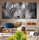 Wild Old Elephant Wall Art Canvas Print