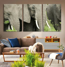 Wild Elephant Wall Art Canvas Print by MyGreatCanvas | Canvas Wall Art Prints | Photo Prints & Wall Decor
