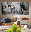 Wild Elephant Wall Art Canvas Print by MyGreatCanvas | Canvas Wall Art Prints | Photo Prints & Wall Decor