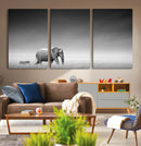 Elephand and Zebra Wall Art Canvas Print, Modern Artwork