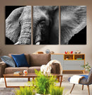 Big Elephant Close Up Wall Art Canvas Print
