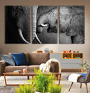 Elephant Family Wall Art Canvas, Framed Elephant Family by MyGreatCanvas | Canvas Wall Art Prints | Photo Prints & Wall Decor