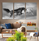 Wild Horses Wall Art Canvas Print – Framed Black and White