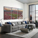 Donald W. Reynolds Razorback Stadium Wall Art Canvas Print –