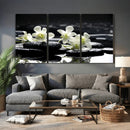 Plumeria Frangipani Black Stone Canvas | White Flower Spa by MyGreatCanvas | Canvas Wall Art Prints | Photo Prints & Wall Decor
