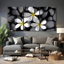 Plumeria Frangipani Black Stone Canvas | White Flower Spa by MyGreatCanvas | Canvas Wall Art Prints | Photo Prints & Wall Decor