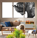 Black and White Grizzly 399 Bear Canvas Print Wall Art | by MyGreatCanvas | Canvas Wall Art Prints | Photo Prints & Wall Decor