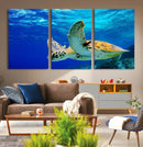 Sea Turtle Wall Art Canvas Print, Sea life in the Ocean Wall