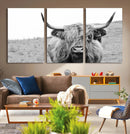 Newfoundland Cow Art Wall Art, Black White Cow Art Wall Art