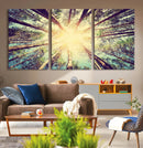 Tree and Sunshine Canvas Print