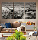 Cow Focus Canvas Wall Art Print by MyGreatCanvas | Canvas Wall Art Prints | Photo Prints & Wall Decor