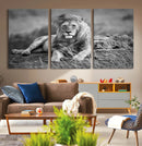 King Forest Lion Wall Art Canvas Print – Framed Majestic by MyGreatCanvas | Canvas Wall Art Prints | Photo Prints & Wall Decor