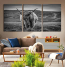 Fluffy Cattle Wall Art Print, Highland Cow Canvas, Framed by MyGreatCanvas | Canvas Wall Art Prints | Photo Prints & Wall Decor
