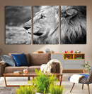 Lion Wall Art Canvas Print – Framed Majestic Wildlife by MyGreatCanvas | Canvas Wall Art Prints | Photo Prints & Wall Decor