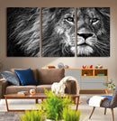 Black and White Lion Canvas Wall Art Print – Wildlife