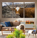 Framed Big Cow Animal Wall Art Canvas Print by MyGreatCanvas | Canvas Wall Art Prints | Photo Prints & Wall Decor