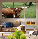 Longhorn Cow Animal Wall Art Canvas Print by MyGreatCanvas | Canvas Wall Art Prints | Photo Prints & Wall Decor