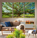 Majestic Oak Tree Wall Art – Serene Nature Canvas Print with