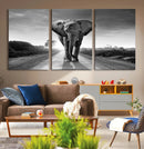 Black and White Elephant Wall Art Canvas Print