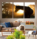 Horse at Sunset Wall Art Animal Canvas Print