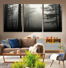 Misty Forest Wall Art Premium Canvas Print a Foggy and