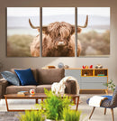 Scottish Serene Highland Cow Canvas Wall Art – Serene