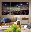Mississippi State Bulldogs Stadium Wall Art Canvas Print –