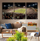 Washington-Grizzly Stadium Canvas Wall Art – Exciting Game