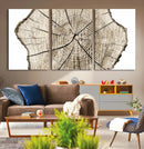 Abstract Wood Tree Ring Wall Art - Ready to Hang Minimalist