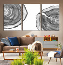 Abstract Large Tree Rings – Minimalist Black and White Wood