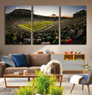 Oregon Stadium Canvas Wall Art - Captivating Game Day Scene