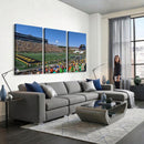 University of Missouri Tigers Football Team Print - Columbia