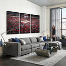 Louisville Cardinals Basketball Print Canvas - Louisville