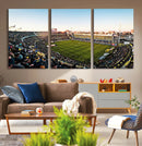 Boca Juniors Soccer Team Print - Buenos Aires Bombonera