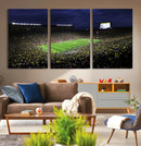 Michigan Wolverines Football Canvas Wall Decor, Football