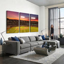 Oakland Athletics Baseball Team Print - Oakland Coliseum