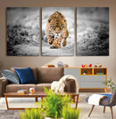 Jaguar Wall Art Canvas Print - Majestic Big Cat in Focused by MyGreatCanvas | Canvas Wall Art Prints | Photo Prints & Wall Decor