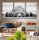 Resting Grizzly Bear Wall Art Canvas Print – Majestic Lazy by MyGreatCanvas | Canvas Wall Art Prints | Photo Prints & Wall Decor