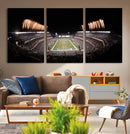 Eagles Field Stadium Wall Art - Lincoln Financial Field