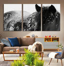 Black Horse in Snow Canvas Print | Winter Horse Wall Art |