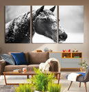 Horse Canvas Print - Winter Horse Snow Wall Art Canvas Print