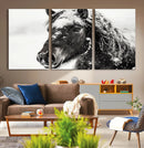 Framed Black and White Horse Wall Art | Ready to Hang and by MyGreatCanvas | Canvas Wall Art Prints | Photo Prints & Wall Decor