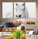 Majestic White Horse Wall Art | Ready to Hang and Framed |