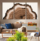 Rustic Wood Rings Wall Art | Nature-Inspired Tree Ring