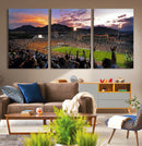 Folsom Field - University of Colorado Buffaloes Football