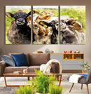Curious Cows Farmhouse Wall Art | Ready to Hang and Framed