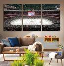 Honda Center California Anaheim Ducks Ice Hockey Stadium