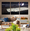 Honda Center California Anaheim Ducks Hockey Stadium Wall